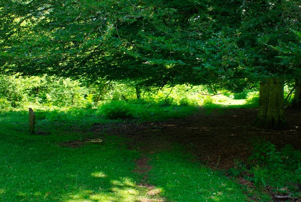 Natuurpark Urbasa Andia Navarra Spanje — Stockfoto