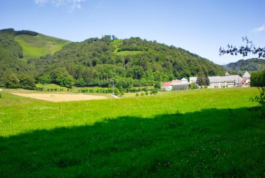 Santiago yolunda Roncesvalles, İspanya 'nın ormanı.