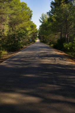 Ribesalbes, Castellon, İspanya 'daki Sichar rezervuarı.