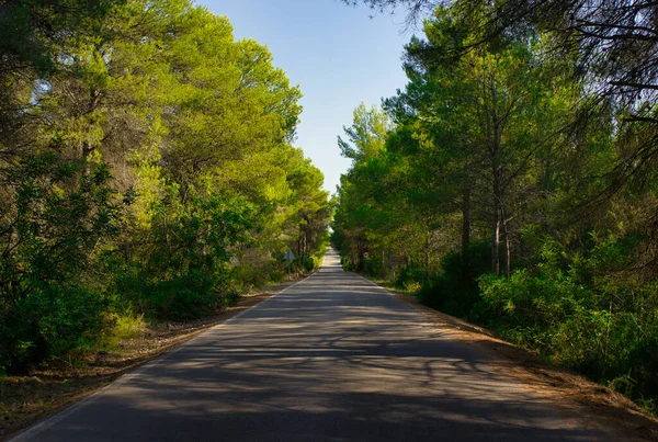 Ribesalbes, Castellon, İspanya 'daki Sichar rezervuarı.