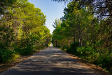 Ribesalbes, Castellon, İspanya 'daki Sichar rezervuarı.