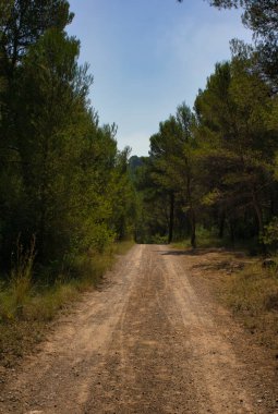 Ribesalbes, Castellon, İspanya 'daki Sichar rezervuarı.