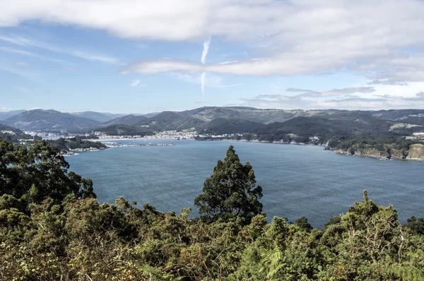 Viveiro ria