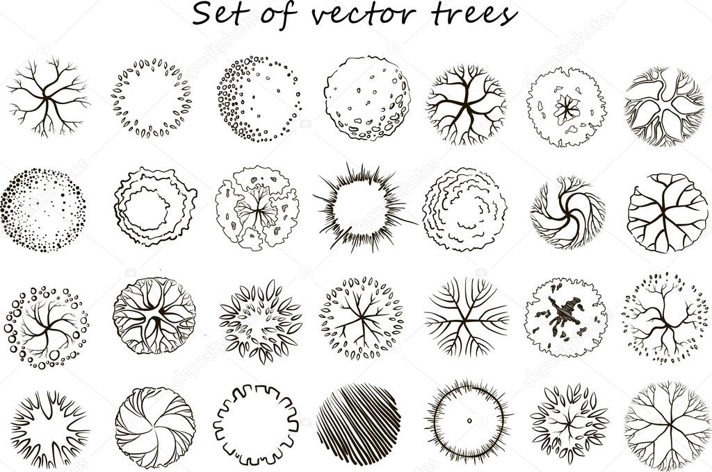 Set of graphic trees, top view,vector