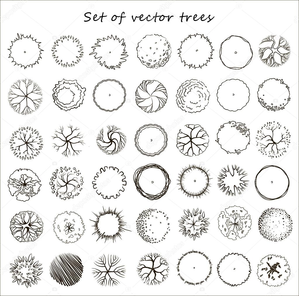 Set of graphic trees, top view, vector — Stock Vector