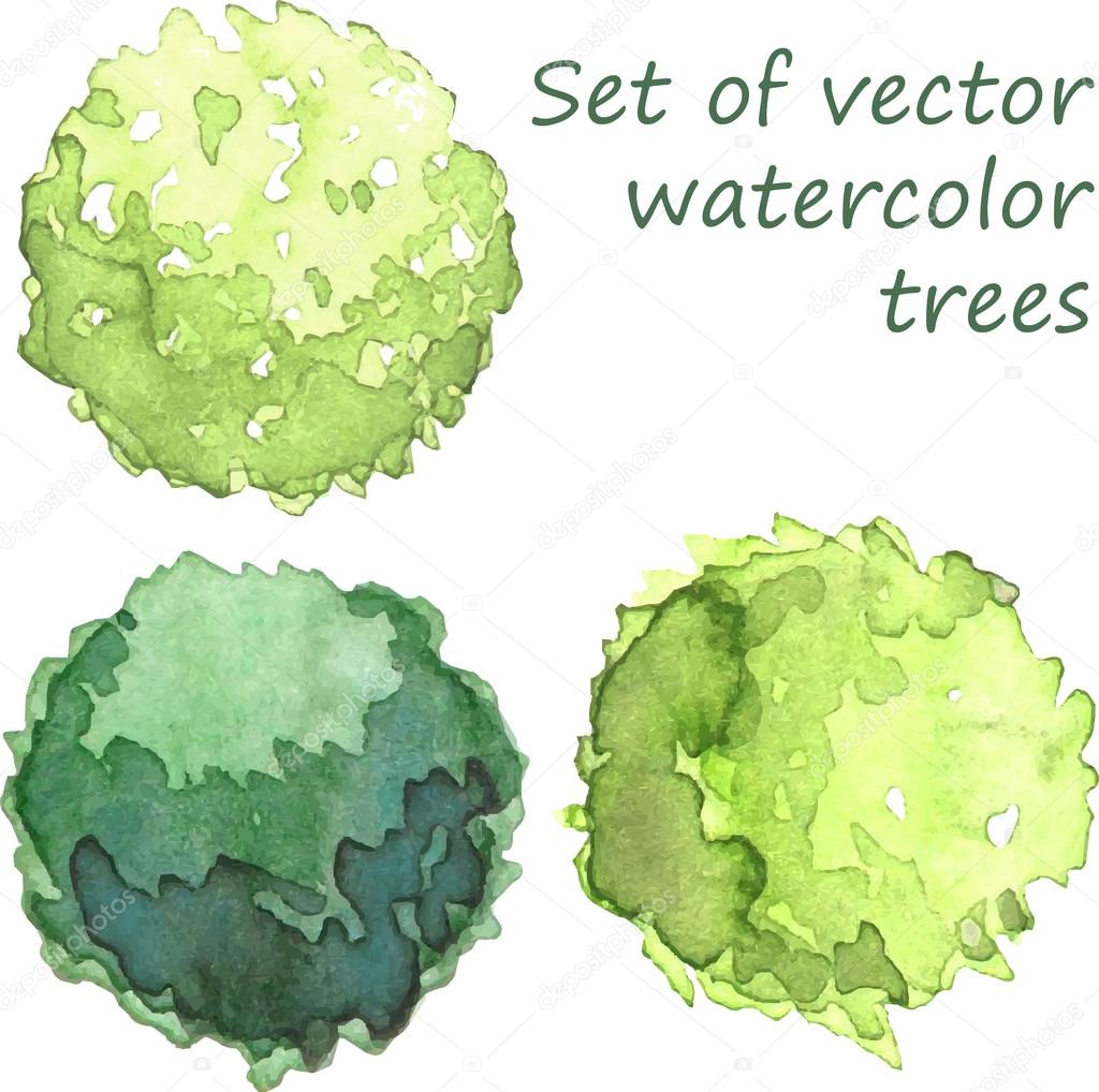 Set of watercolor trees, top view, vector