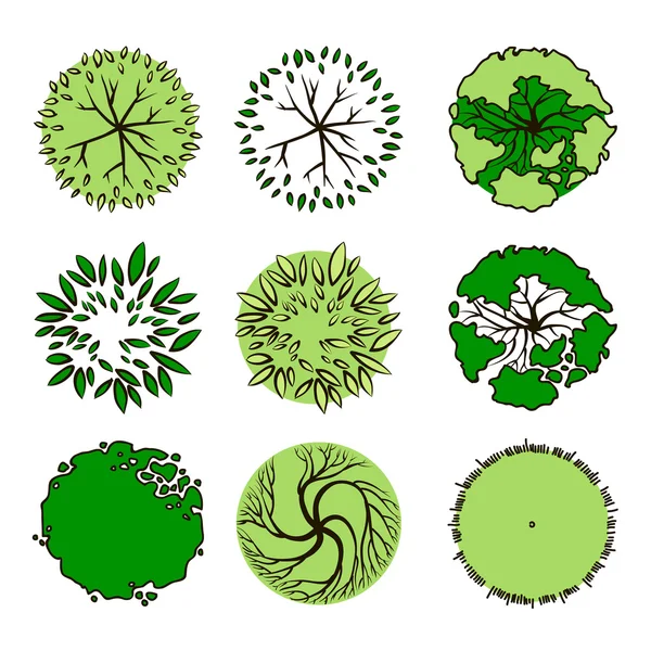 Árboles - vista superior, vector — Archivo Imágenes Vectoriales