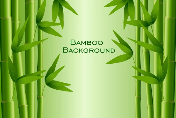 Bamboo background , vector — Stock Vector