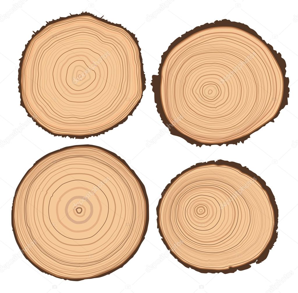 Set of four tree rings background and saw cut tree trunk, vector