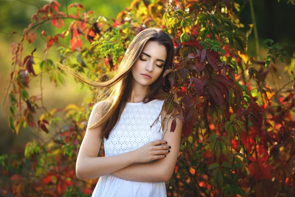 Vacker flicka i en natur — Stockfoto