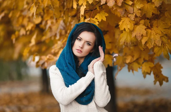 Retrato de outono de uma menina bonita — Fotografia de Stock