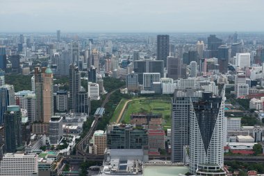 Gökdelenleri gri gökyüzüne bakan Megapolis