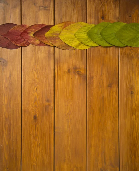 Belles feuilles multicolores sur des planches en bois Images De Stock Libres De Droits