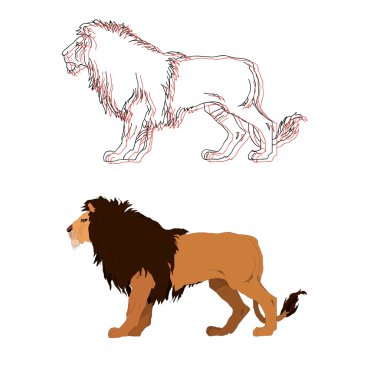 Aslan Kral. Vektör izole hayvan.