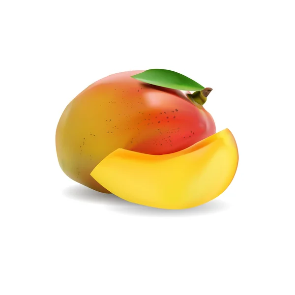 Mango. Realistische vectorillustratie. — Stockvector