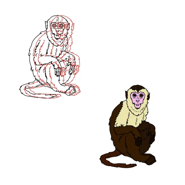 Macaco-prego - Desenho de flowbell_games - Gartic