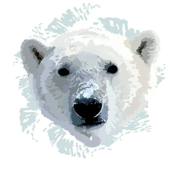 一只北极熊的头 — 图库矢量图片