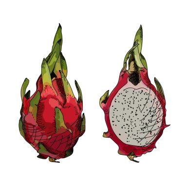 Dragon meyve veya pitahaya.