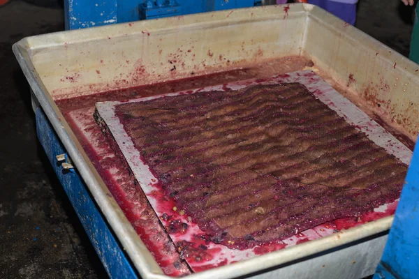 Making Cidre  Appeljuice