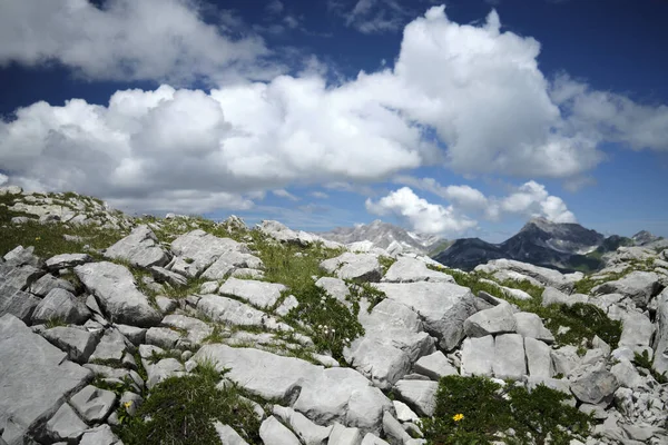 Manzara Avusturya Zirvesi Yazı