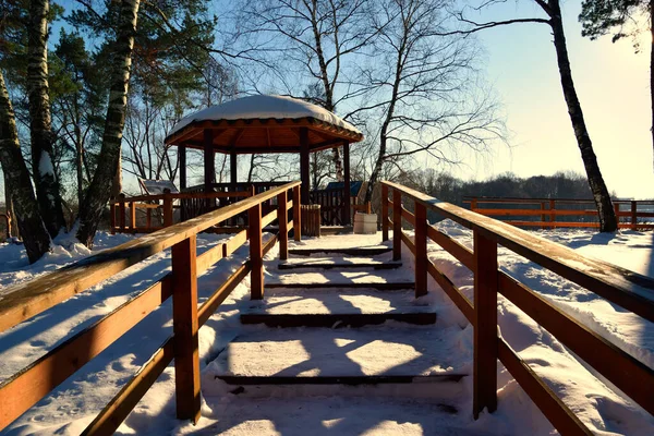 Een Houten Trap Een Besneeuwd Winterpark Bovenaan Een Houten Prieel — Stockfoto