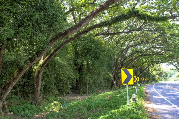 Grandes árboles al lado de la carretera curva, con señal de tráfico — Foto de Stock
