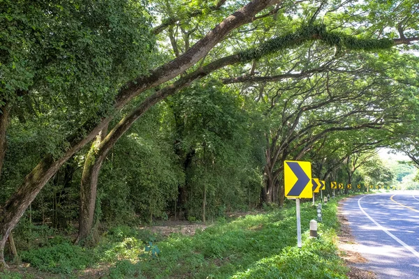 Grote bomen naast de kromme weg, met verkeersbord — Stockfoto