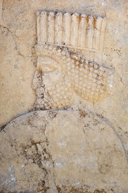 Persepolis, Farsça, Ahameniş İmparatorluğu, Iran muhteşem harabe