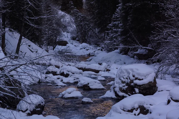 Rio da montanha no inverno. — Fotografia de Stock