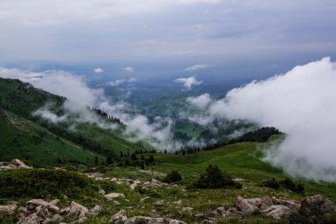 Sis ve bulutlar dağlar Almatı, Kaz yakınındaki ormanda yukarıda