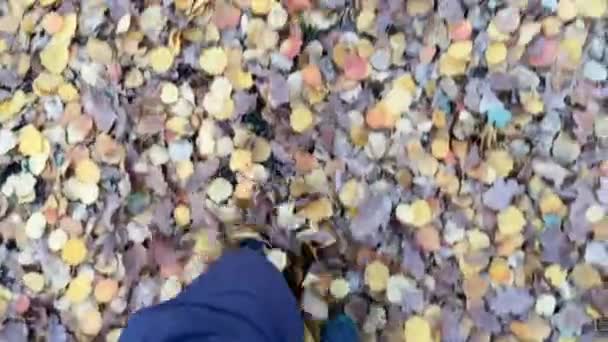 Caminar por el sendero de las hojas — Vídeo de stock