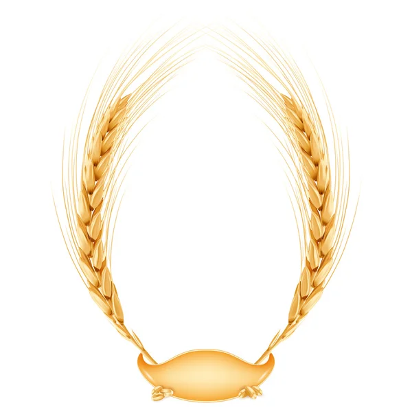 Buğday. Vektör çerçeve. Gerçekçi vektör çizim