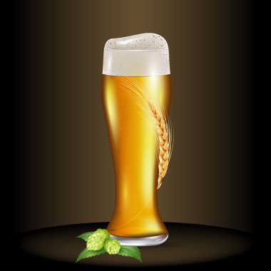 Light bira bardak buğday spikelet yakınındaki meyve hop ile sarılmış. Gerçekçi vektör çizim