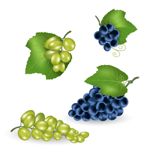 Куча винограда, зеленый и черный, векторная иллюстрация, набор — стоковый вектор