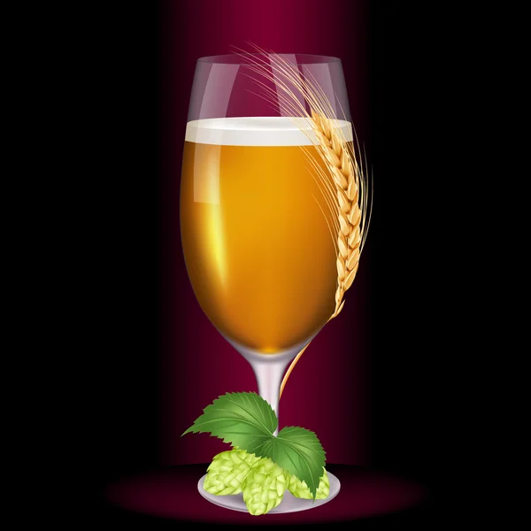 Light bira bardak buğday spikelet yakınındaki meyve hop ile sarılmış. Gerçekçi vektör çizim