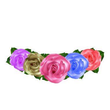 Gül vektör çizim ayarlayın. Yüksek kaliteli vektör.