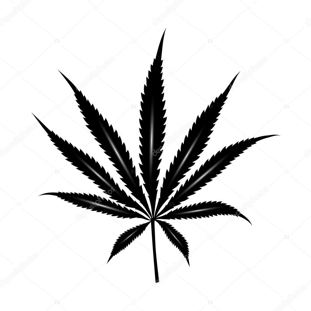 Cannabis leaf black color