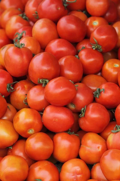 Tomaten bei Bangkok lizenzfreie Stockbilder