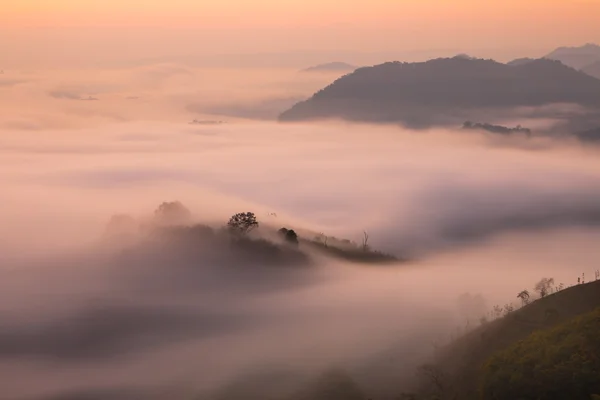 Nongkhai thailand schöne Landschaft — Stockfoto