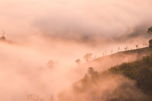 Berg und Nebel — Stockfoto
