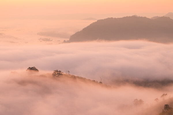 Гора и туман
