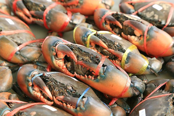 Crab in fresh market