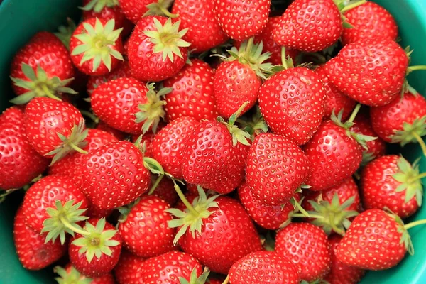 Frische reife perfekte Erdbeere lizenzfreie Stockfotos