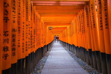 Torii gates de Fushimi Inari Tapınak