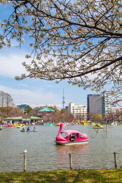 Ueno Park w Japonii — Zdjęcie stockowe