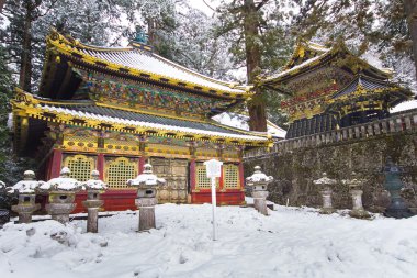 Tosho-gu Shinto Tapınak