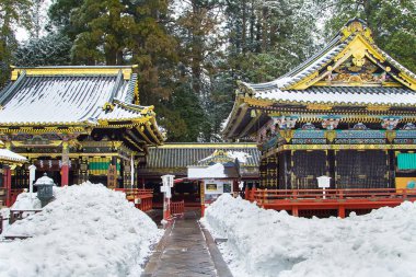 Toshugu tapınak Nikko, Japonya