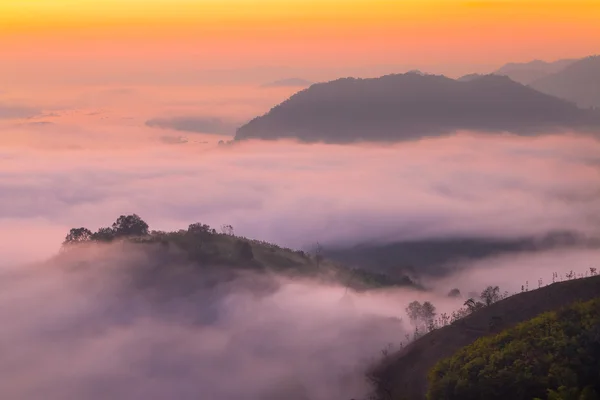 Berg und Nebel — Stockfoto