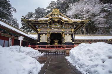 Tosho-gu Shinto shrine at Japan