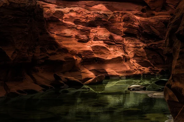 Sam παν bok grand canyon — Φωτογραφία Αρχείου